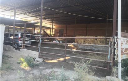 C21 Cius; Aydın Çine Bahçearası Muhteşem Verimli ve Kurulu Arazi