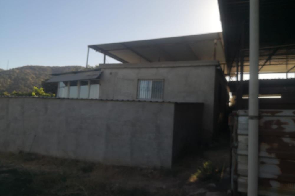 C21 Cius; Aydın Çine Bahçearası Muhteşem Verimli ve Kurulu Arazi