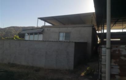 C21 Cius; Aydın Çine Bahçearası Muhteşem Verimli ve Kurulu Arazi