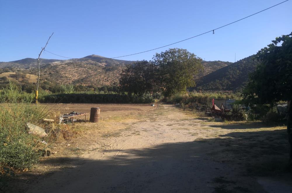 C21 Cius; Aydın Çine Bahçearası Muhteşem Verimli ve Kurulu Arazi