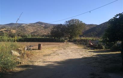 C21 Cius; Aydın Çine Bahçearası Muhteşem Verimli ve Kurulu Arazi