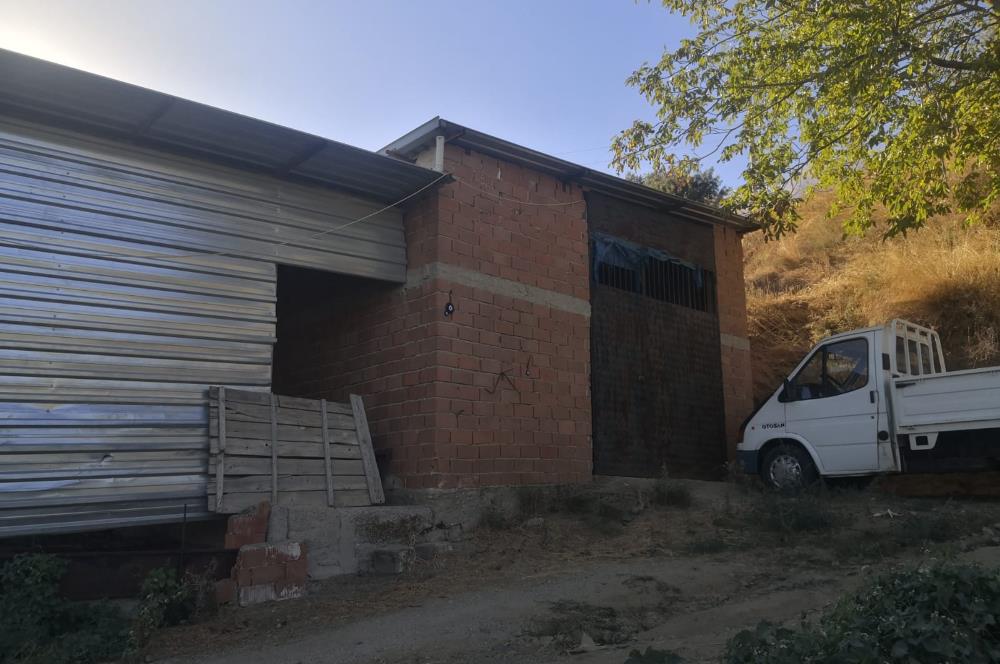 C21 Cius; Aydın Çine Bahçearası Muhteşem Verimli ve Kurulu Arazi