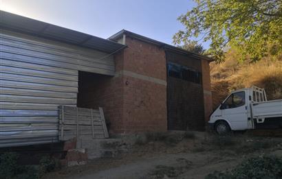 C21 Cius; Aydın Çine Bahçearası Muhteşem Verimli ve Kurulu Arazi