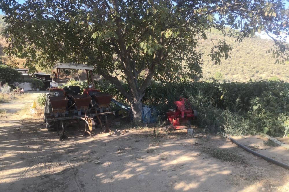 C21 Cius; Aydın Çine Bahçearası Muhteşem Verimli ve Kurulu Arazi