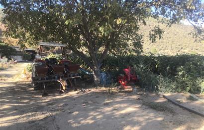 C21 Cius; Aydın Çine Bahçearası Muhteşem Verimli ve Kurulu Arazi