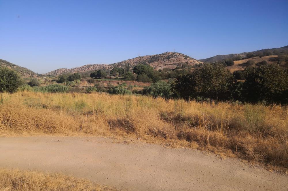 C21 Cius; Aydın Çine Bahçearası Muhteşem Verimli ve Kurulu Arazi