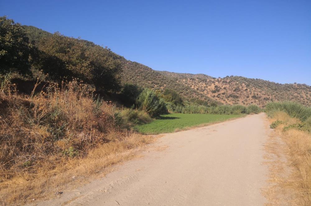 C21 Cius; Aydın Çine Bahçearası Muhteşem Verimli ve Kurulu Arazi