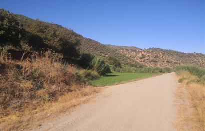 C21 Cius; Aydın Çine Bahçearası Muhteşem Verimli ve Kurulu Arazi