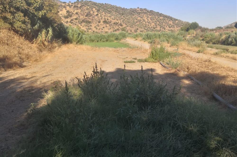 C21 Cius; Aydın Çine Bahçearası Muhteşem Verimli ve Kurulu Arazi