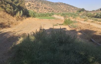 C21 Cius; Aydın Çine Bahçearası Muhteşem Verimli ve Kurulu Arazi