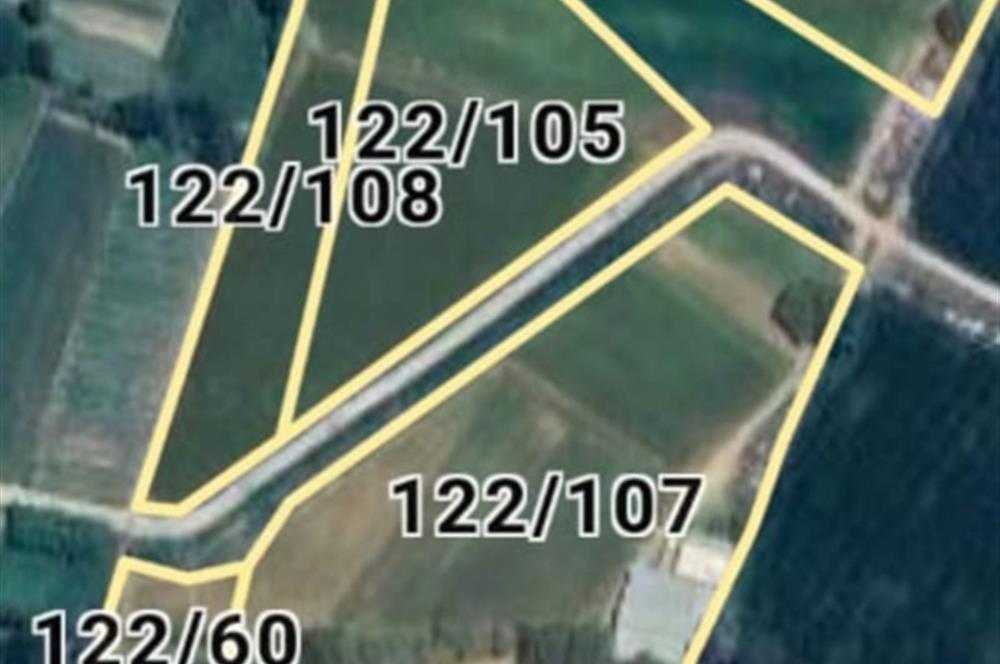 C21 Cius; Aydın Çine Bahçearası Muhteşem Verimli ve Kurulu Arazi