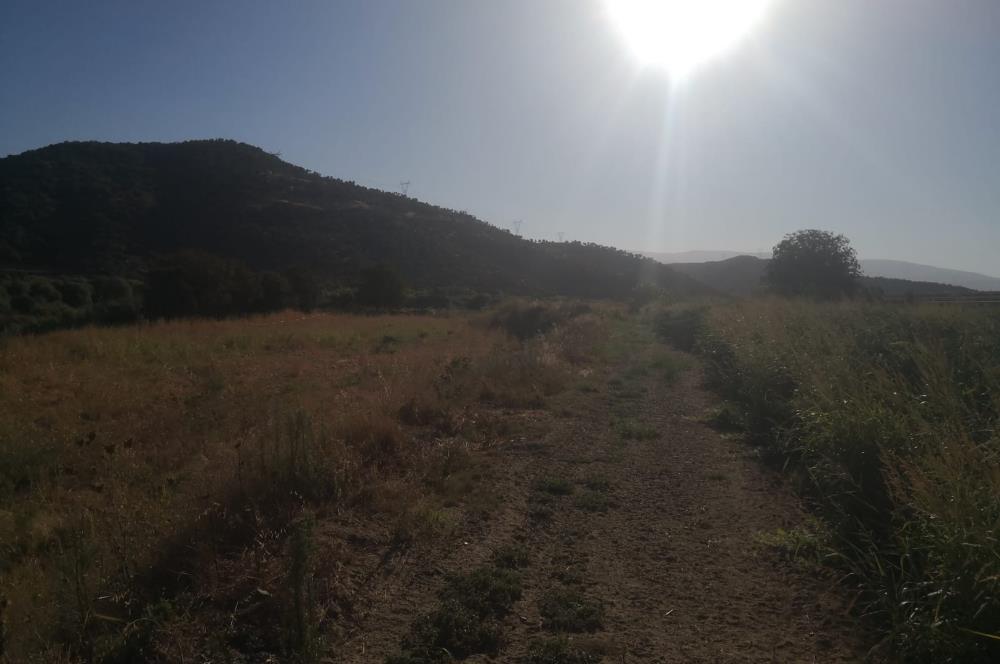 C21 Cius; Aydın Çine Bahçearası Muhteşem Verimli ve Kurulu Arazi