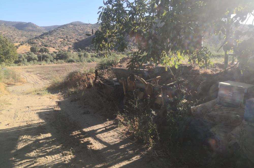 C21 Cius; Aydın Çine Bahçearası Muhteşem Verimli ve Kurulu Arazi