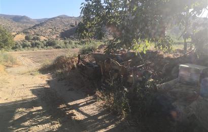 C21 Cius; Aydın Çine Bahçearası Muhteşem Verimli ve Kurulu Arazi