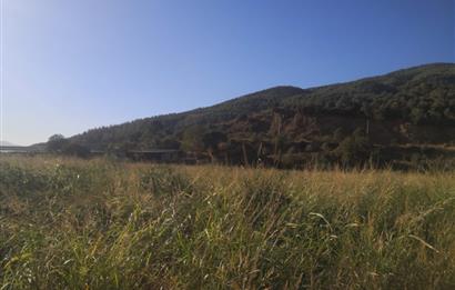 C21 Cius; Aydın Çine Bahçearası Muhteşem Verimli ve Kurulu Arazi