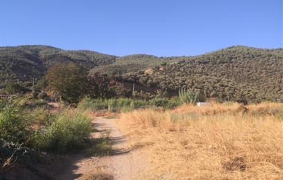 C21 Cius; Aydın Çine Bahçearası Muhteşem Verimli ve Kurulu Arazi