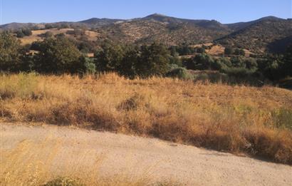 C21 Cius; Aydın Çine Bahçearası Muhteşem Verimli ve Kurulu Arazi