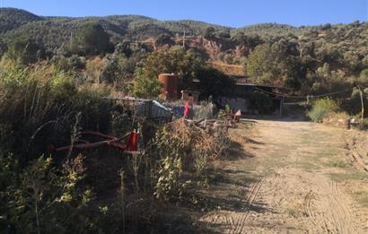 C21 Cius; Aydın Çine Bahçearası Muhteşem Verimli ve Kurulu Arazi