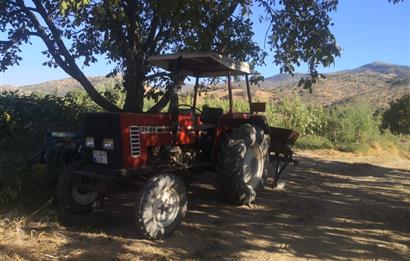 C21 Cius; Aydın Çine Bahçearası Muhteşem Verimli ve Kurulu Arazi