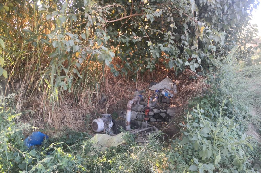 C21 Cius; Aydın Çine Bahçearası Muhteşem Verimli ve Kurulu Arazi