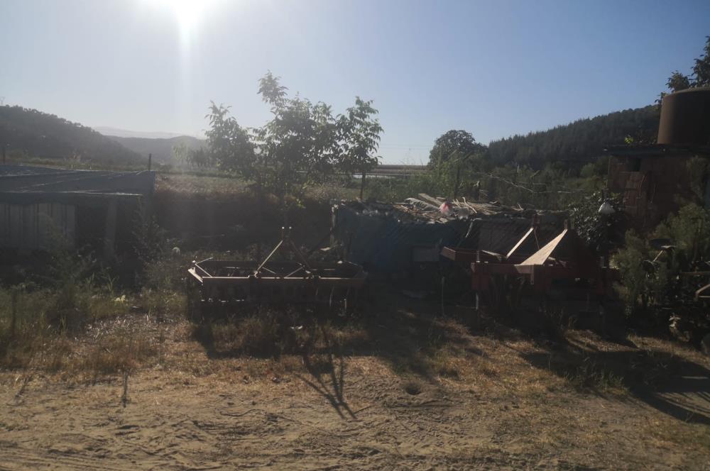 C21 Cius; Aydın Çine Bahçearası Muhteşem Verimli ve Kurulu Arazi