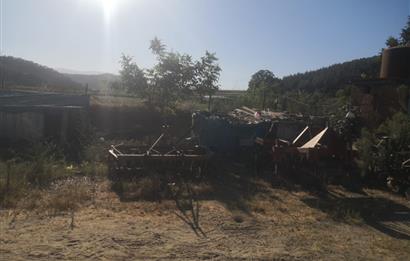 C21 Cius; Aydın Çine Bahçearası Muhteşem Verimli ve Kurulu Arazi