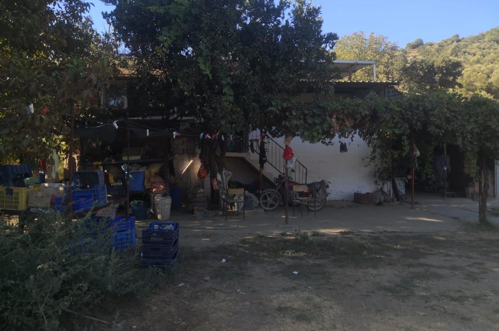 C21 Cius; Aydın Çine Bahçearası Muhteşem Verimli ve Kurulu Arazi