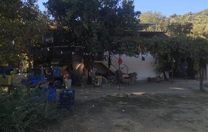 C21 Cius; Aydın Çine Bahçearası Muhteşem Verimli ve Kurulu Arazi