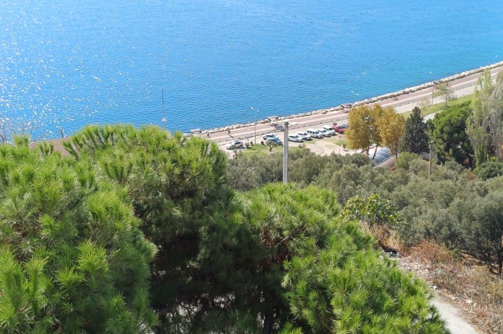 C21 Cius; Panoramik Muhteşem Deniz Manzaralı Satılık Daire