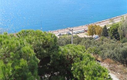 C21 Cius; Panoramik Muhteşem Deniz Manzaralı Satılık Daire