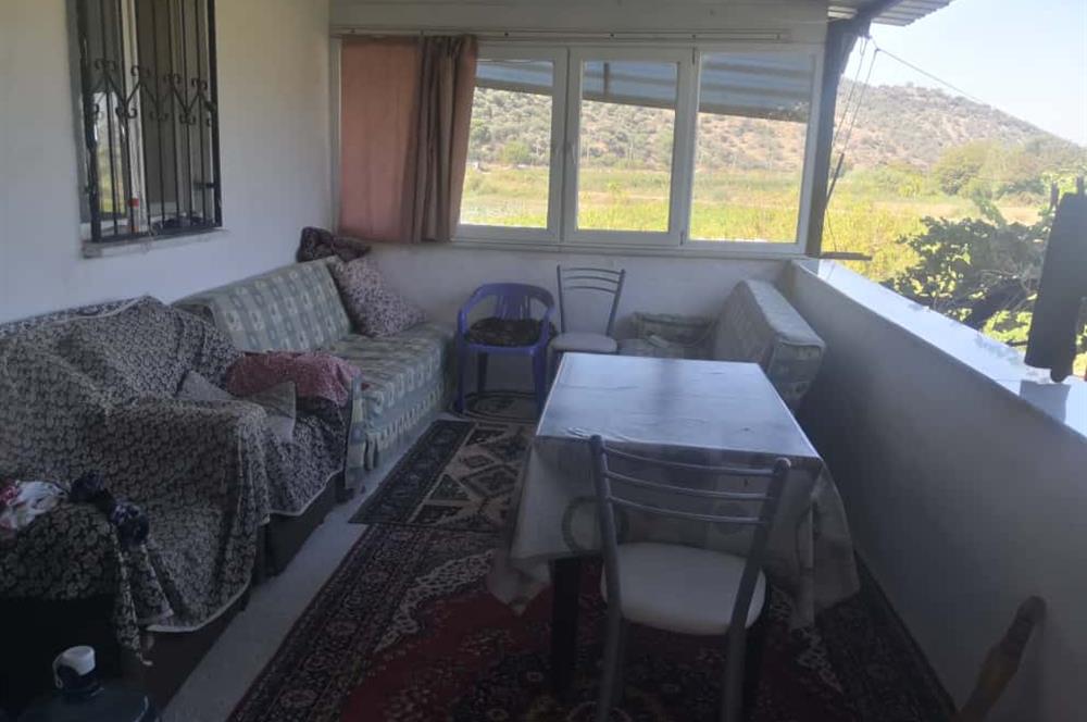 C21 Cius; Aydın Çine Bahçearası Muhteşem Verimli ve Kurulu Arazi