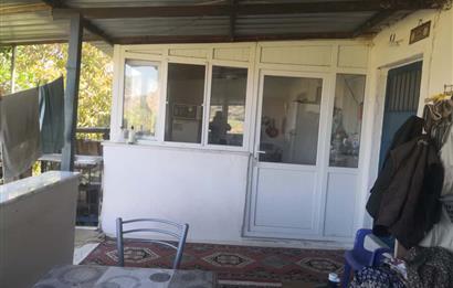 C21 Cius; Aydın Çine Bahçearası Muhteşem Verimli ve Kurulu Arazi