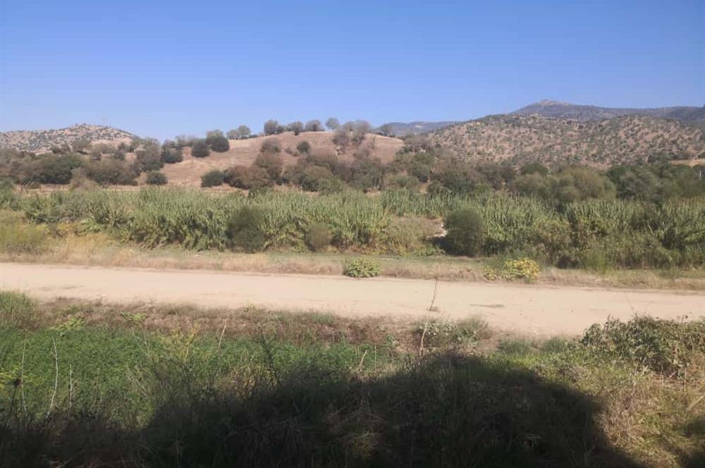 C21 Cius; Aydın Çine Bahçearası Muhteşem Verimli ve Kurulu Arazi