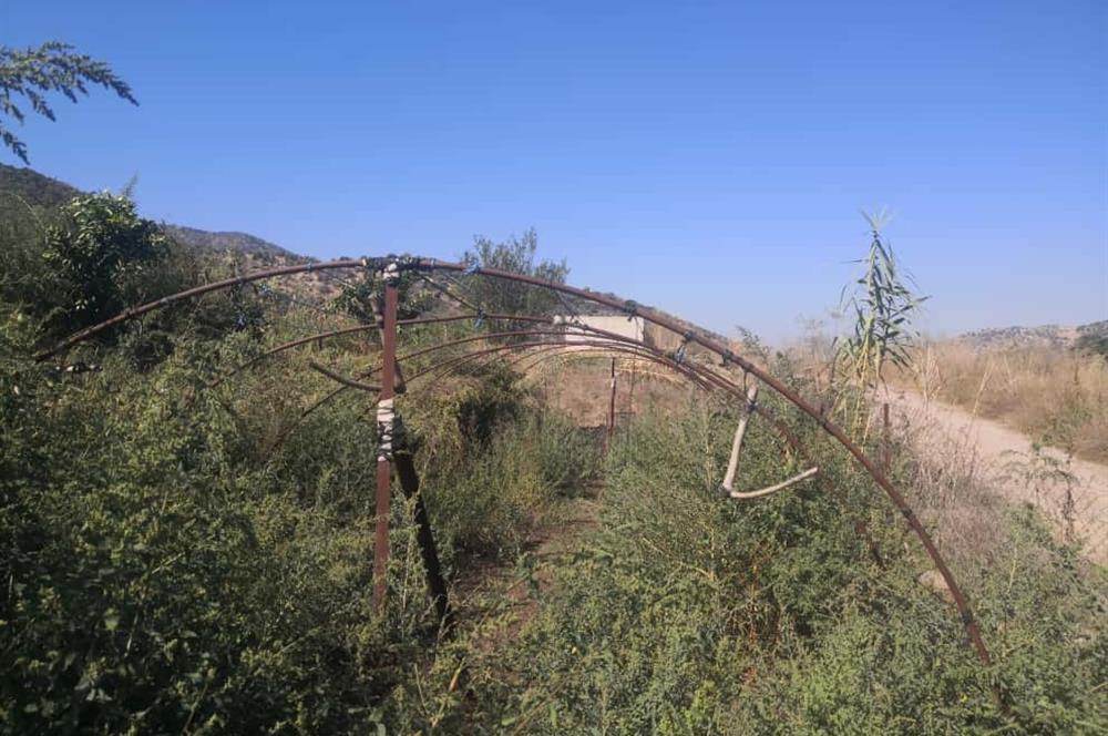 C21 Cius; Aydın Çine Bahçearası Muhteşem Verimli ve Kurulu Arazi