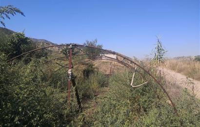 C21 Cius; Aydın Çine Bahçearası Muhteşem Verimli ve Kurulu Arazi