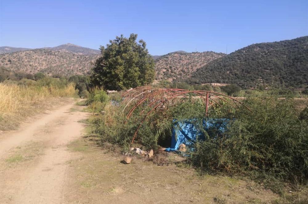 C21 Cius; Aydın Çine Bahçearası Muhteşem Verimli ve Kurulu Arazi