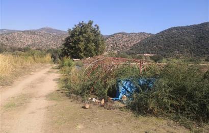 C21 Cius; Aydın Çine Bahçearası Muhteşem Verimli ve Kurulu Arazi