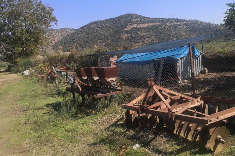 C21 Cius; Aydın Çine Bahçearası Muhteşem Verimli ve Kurulu Arazi