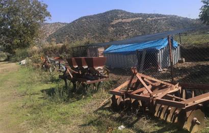 C21 Cius; Aydın Çine Bahçearası Muhteşem Verimli ve Kurulu Arazi