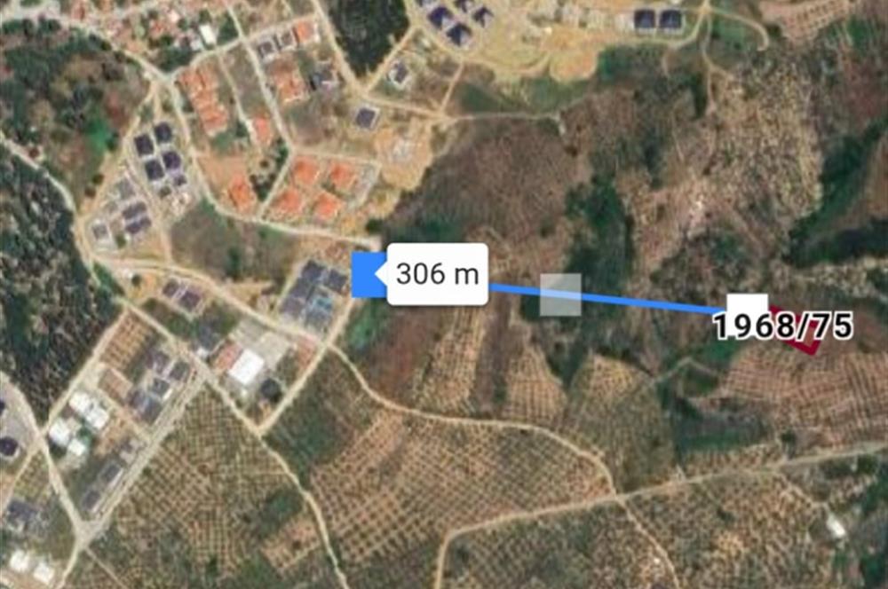 C21 Cius; Umurbey'de imara 300 m. Satılık Zeytinlik