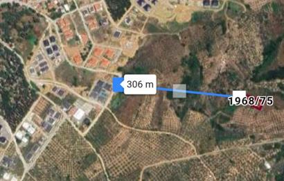 C21 Cius; Umurbey'de imara 300 m. Satılık Zeytinlik