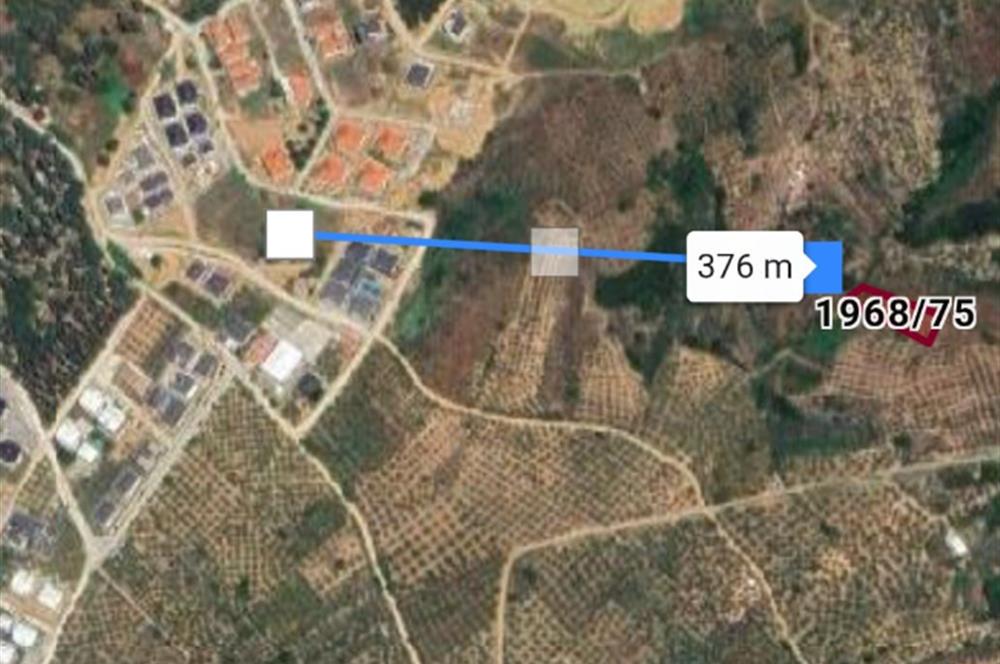 C21 Cius; Umurbey'de imara 300 m. Satılık Zeytinlik