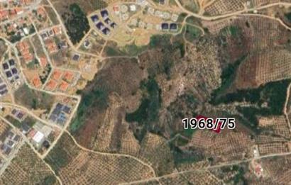 C21 Cius; Umurbey'de imara 300 m. Satılık Zeytinlik