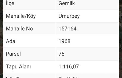 C21 Cius; Umurbey'de imara 300 m. Satılık Zeytinlik