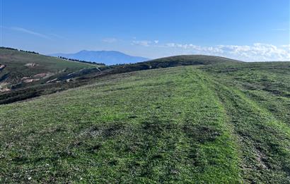 C21 Cius;Şahinyurdunda 4.837 m2 Ulaşımı Kolay Satılık Tarla