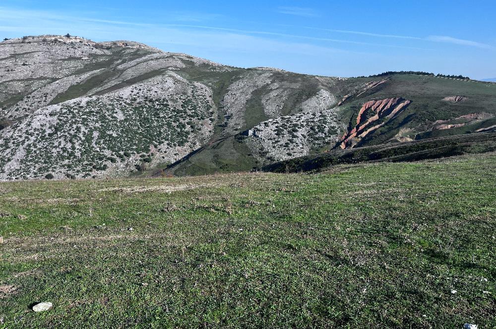 C21 Cius;Şahinyurdunda 4.837 m2 Ulaşımı Kolay Satılık Tarla