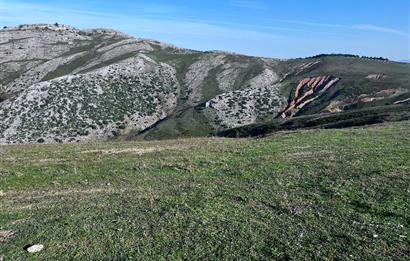 C21 Cius;Şahinyurdunda 4.837 m2 Ulaşımı Kolay Satılık Tarla