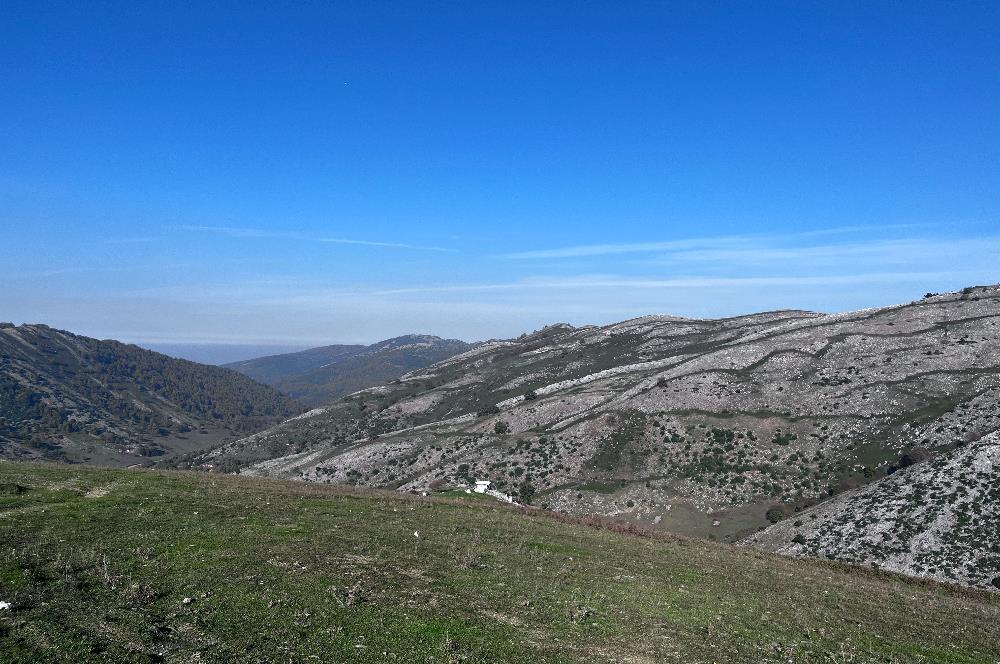 C21 Cius;Şahinyurdunda 4.837 m2 Ulaşımı Kolay Satılık Tarla