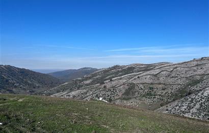 C21 Cius;Şahinyurdunda 4.837 m2 Ulaşımı Kolay Satılık Tarla