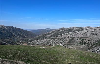 C21 Cius;Şahinyurdunda 4.837 m2 Ulaşımı Kolay Satılık Tarla